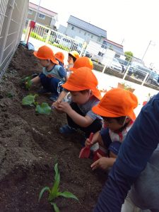 IMG_2025-05-21-10-11-23-160