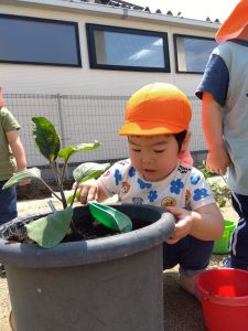 IMG_2025-05-21-10-12-39-990
