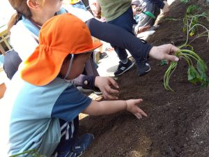 IMG_2025-05-21-10-20-41-839
